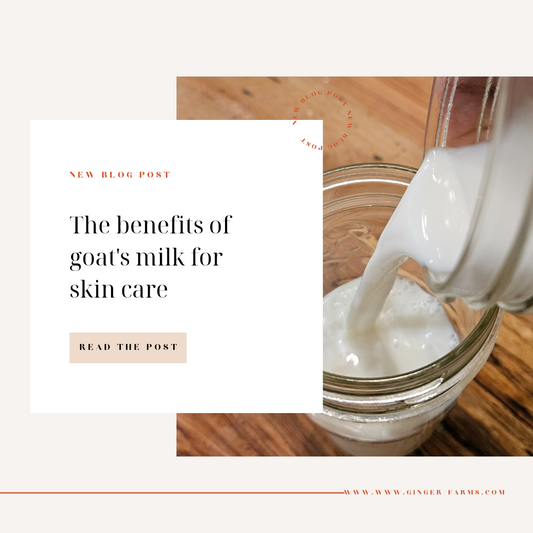 Why goat's milk?
