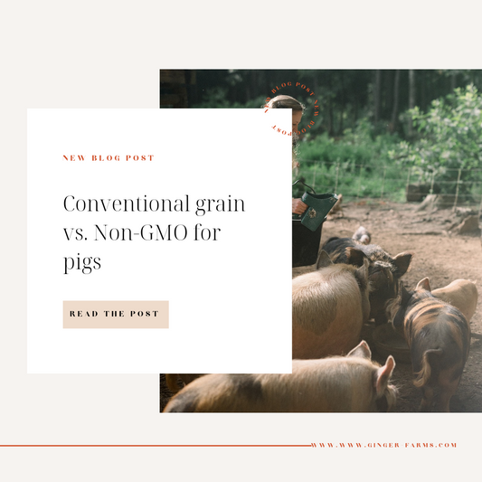 Non-GMO feed-Is it all its cracked up to be?